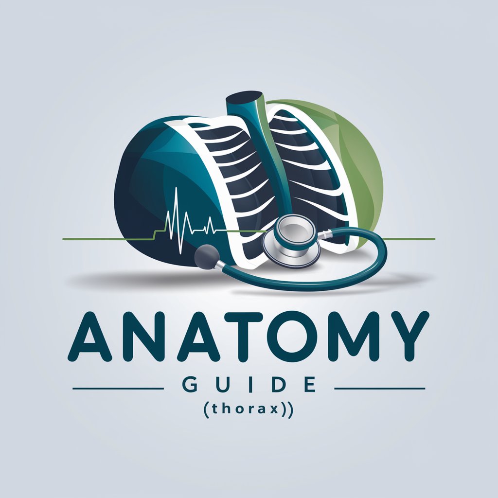 Anatomy Guide (Thorax)