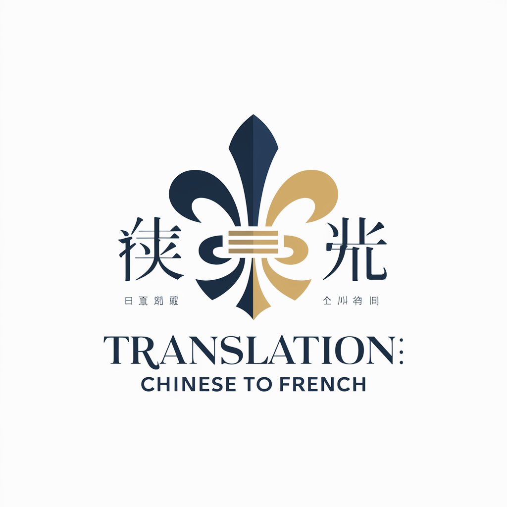 Translation: Chinese to French