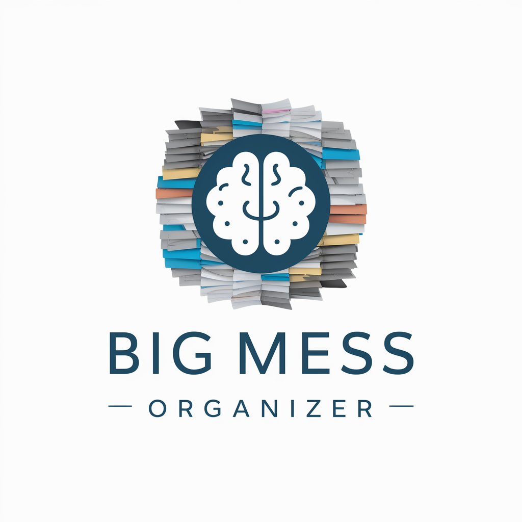 Big Mess Organizer