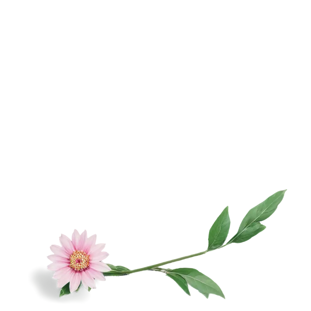 Exquisite-PNG-Flower-Illustration-Enhancing-Online-Presence-with-HighQuality-Imagery