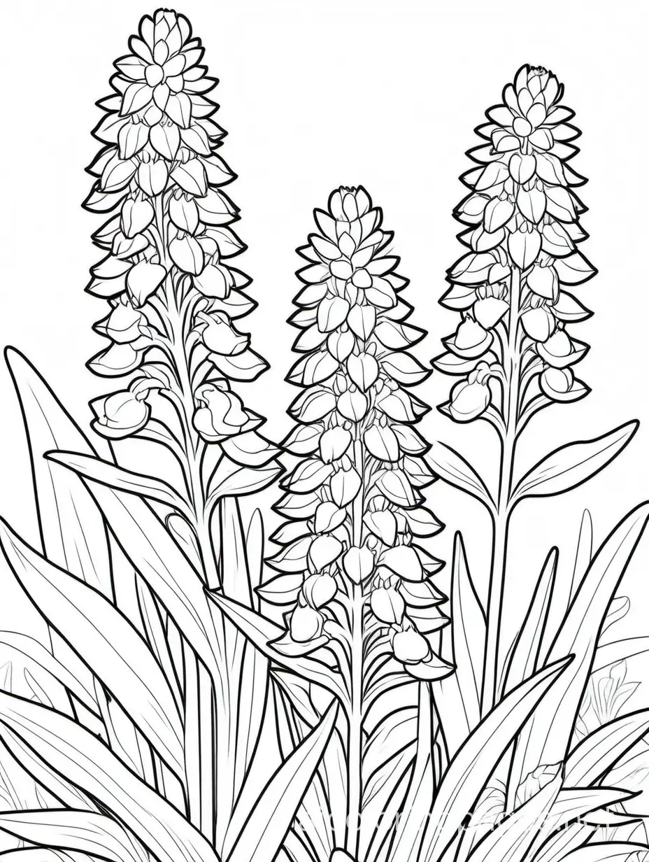 bluebonnets, Coloring Page, black and white, line art, white background, Simplicity, Ample White Space. The background of the coloring page is plain white to make it easy for young children to color within the lines. The outlines of all the subjects are easy to distinguish, making it simple for kids to color without too much difficulty