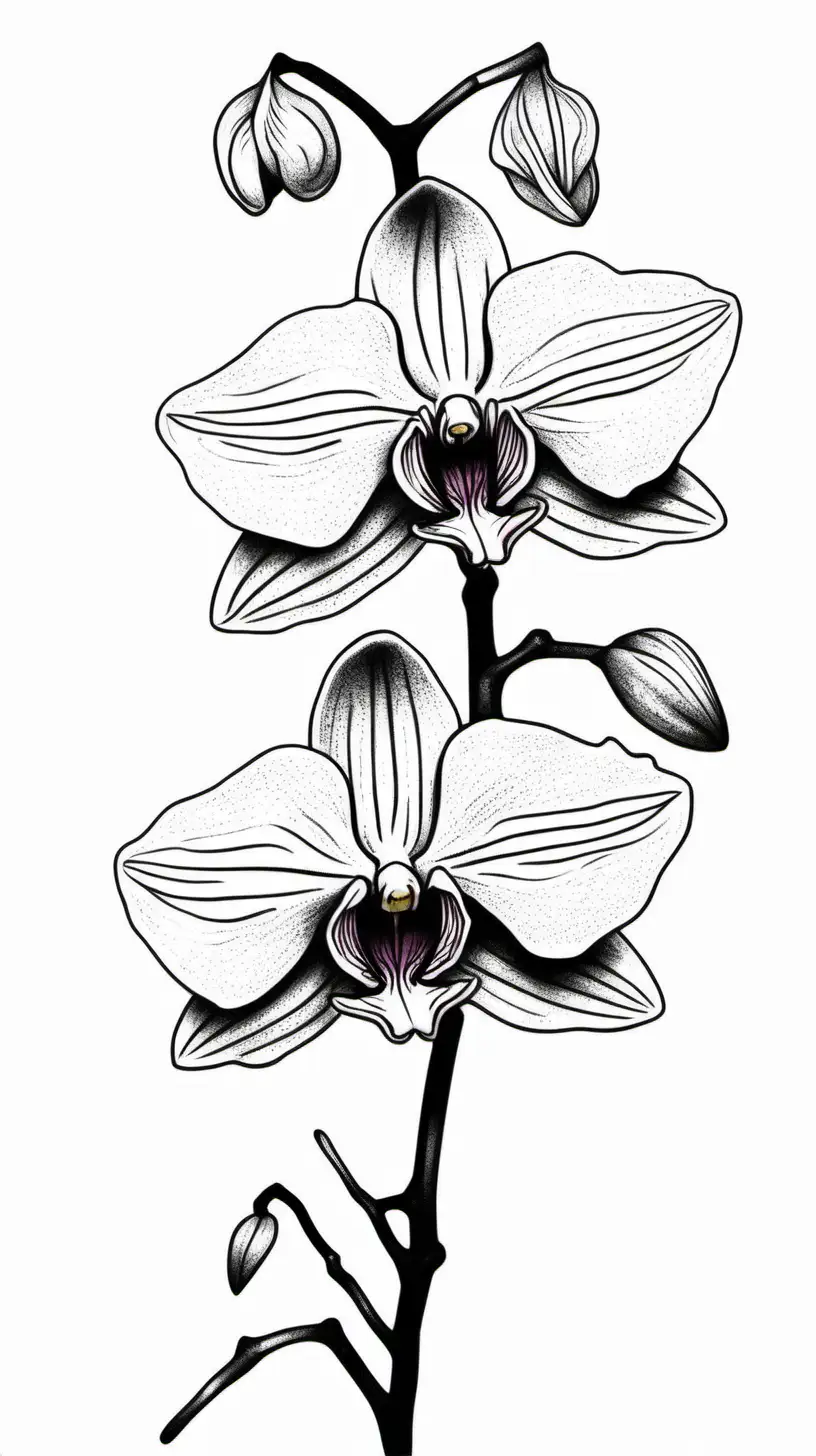 Realistic Orchid Flower Tattoo Design on Minimalist Black and White Background