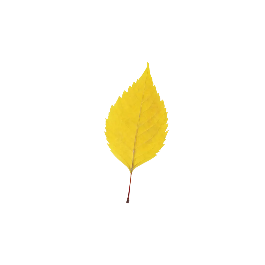 Vibrant-Yellow-Leaf-PNG-Captivating-Natures-Beauty-in-HighQuality-Format