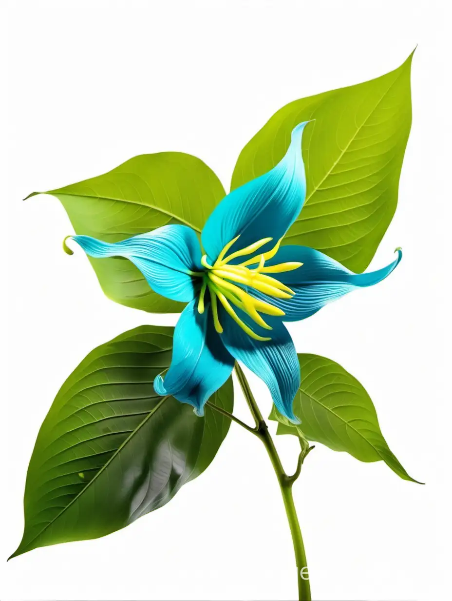 Vibrant-Blue-Ylang-Ylang-Flower-with-Green-Leaves-on-White-Background