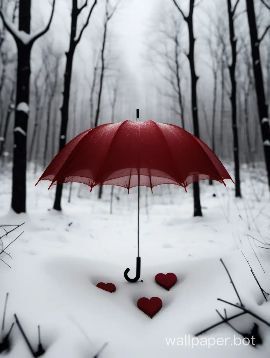 Valentine's Day, holiday, feelings, small details. Winter forest, gloomy, romantic, black and white, transparent light, clearings, deep background. In the center on the snow uncovered, non-transparent, blood-red, scarlet umbrella. Romance, small precipitates in the form of burgundy hearts.