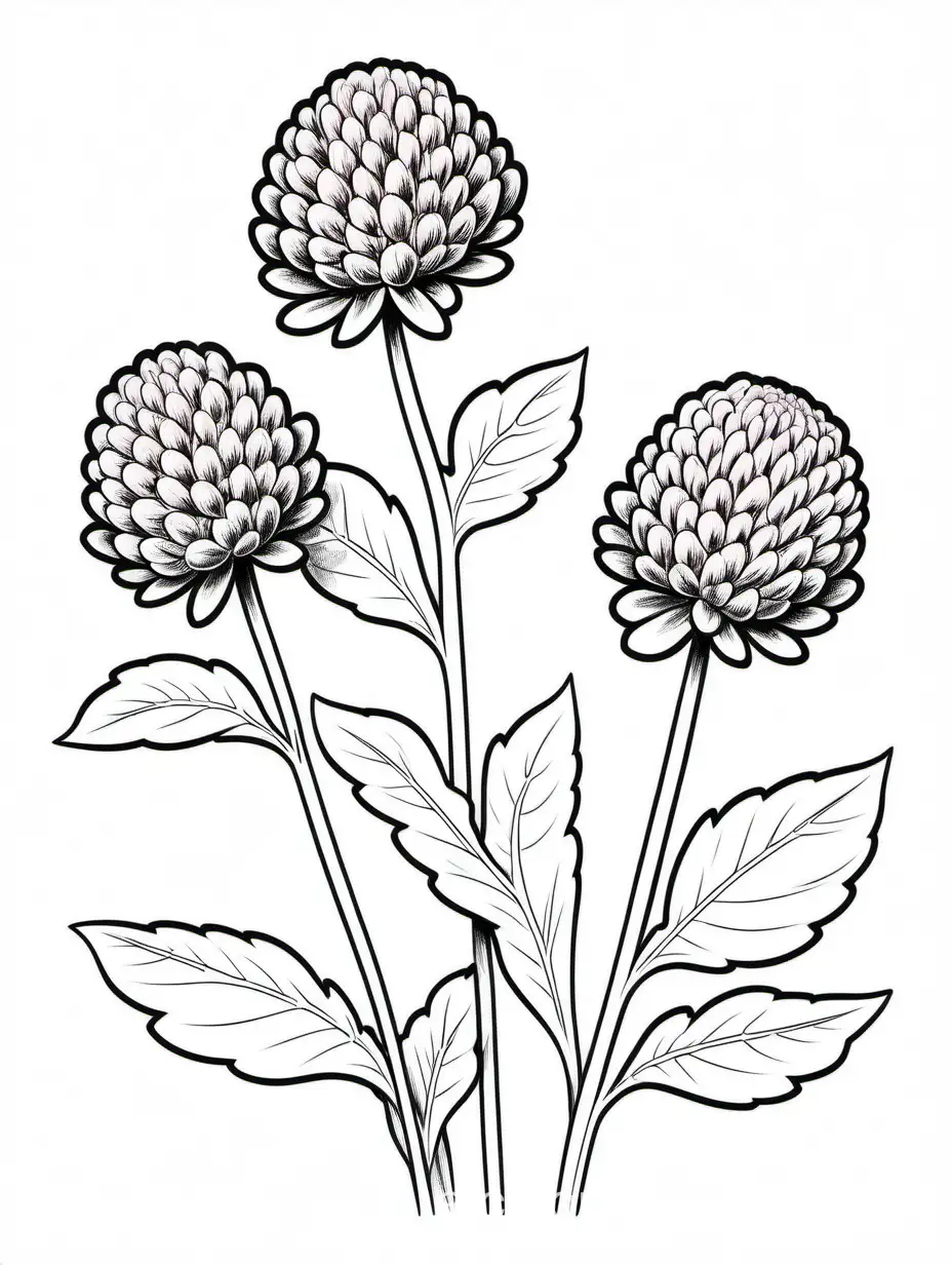 red clover, Coloring Page, black and white, line art, white background, Simplicity, Ample White Space. The background of the coloring page is plain white to make it easy for young children to color within the lines. The outlines of all the subjects are easy to distinguish, making it simple for kids to color without too much difficulty