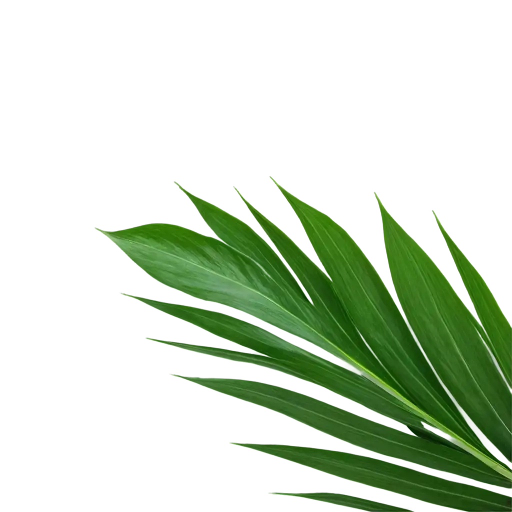 Vibrant-Green-Palm-Leaves-PNG-Captivating-Natures-Essence-in-HighQuality-Images