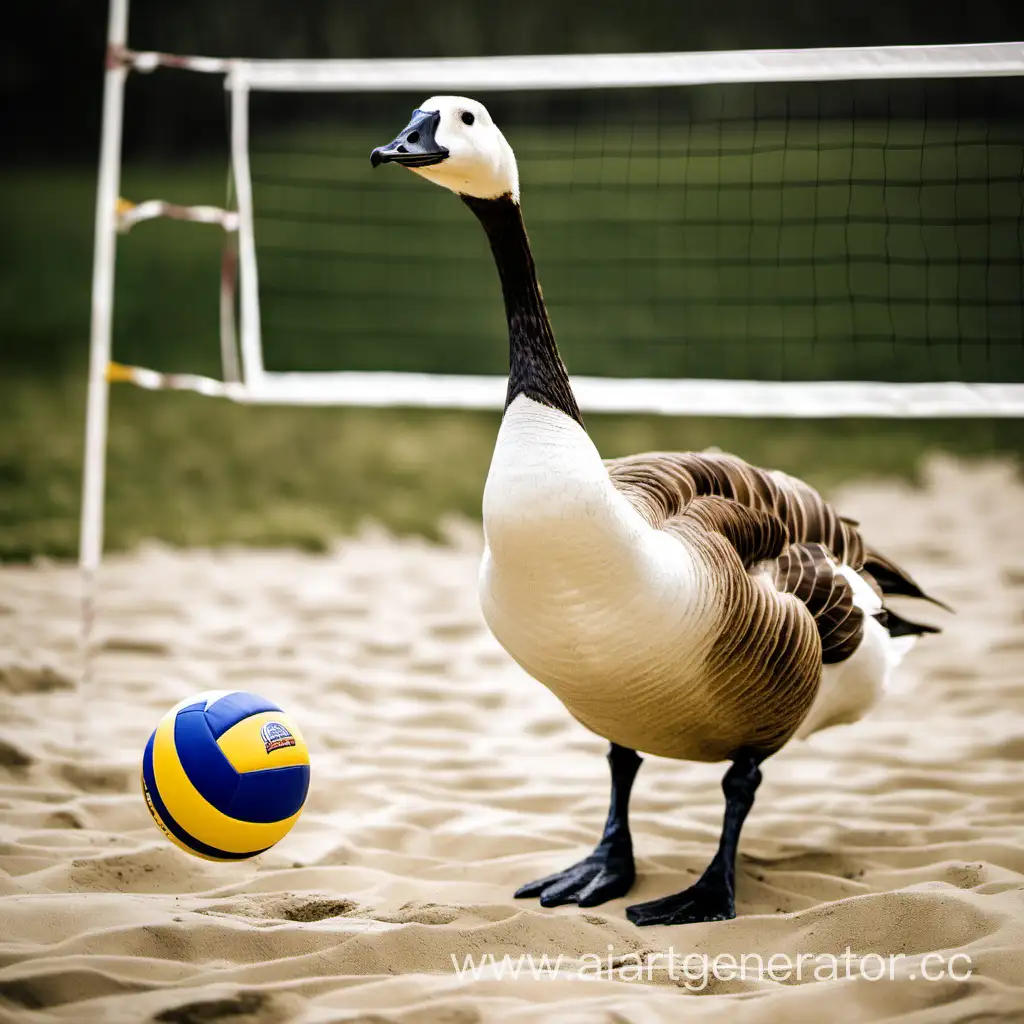 Goose-Engages-in-Volleyball-Match-on-Sunny-Beach