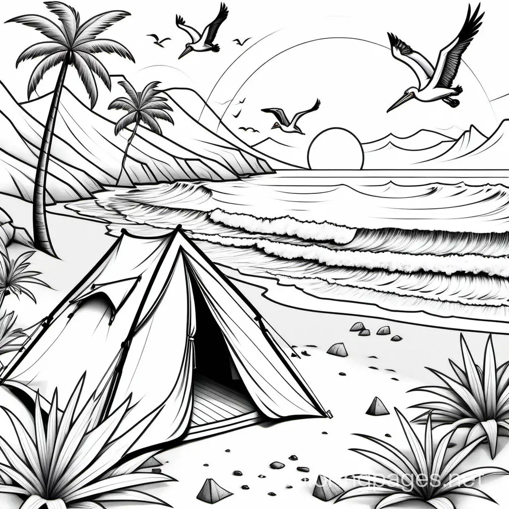 camping by a tropical beach, tent and campfire, sunset and surfing, pelecans and seagulls  (the-great-outdoors theme), Coloring Page, black and white, line art, white background, Simplicity, Ample White Space. The background of the coloring page is plain white to make it easy for young children to color within the lines. The outlines of all the subjects are easy to distinguish, making it simple for kids to color without too much difficulty