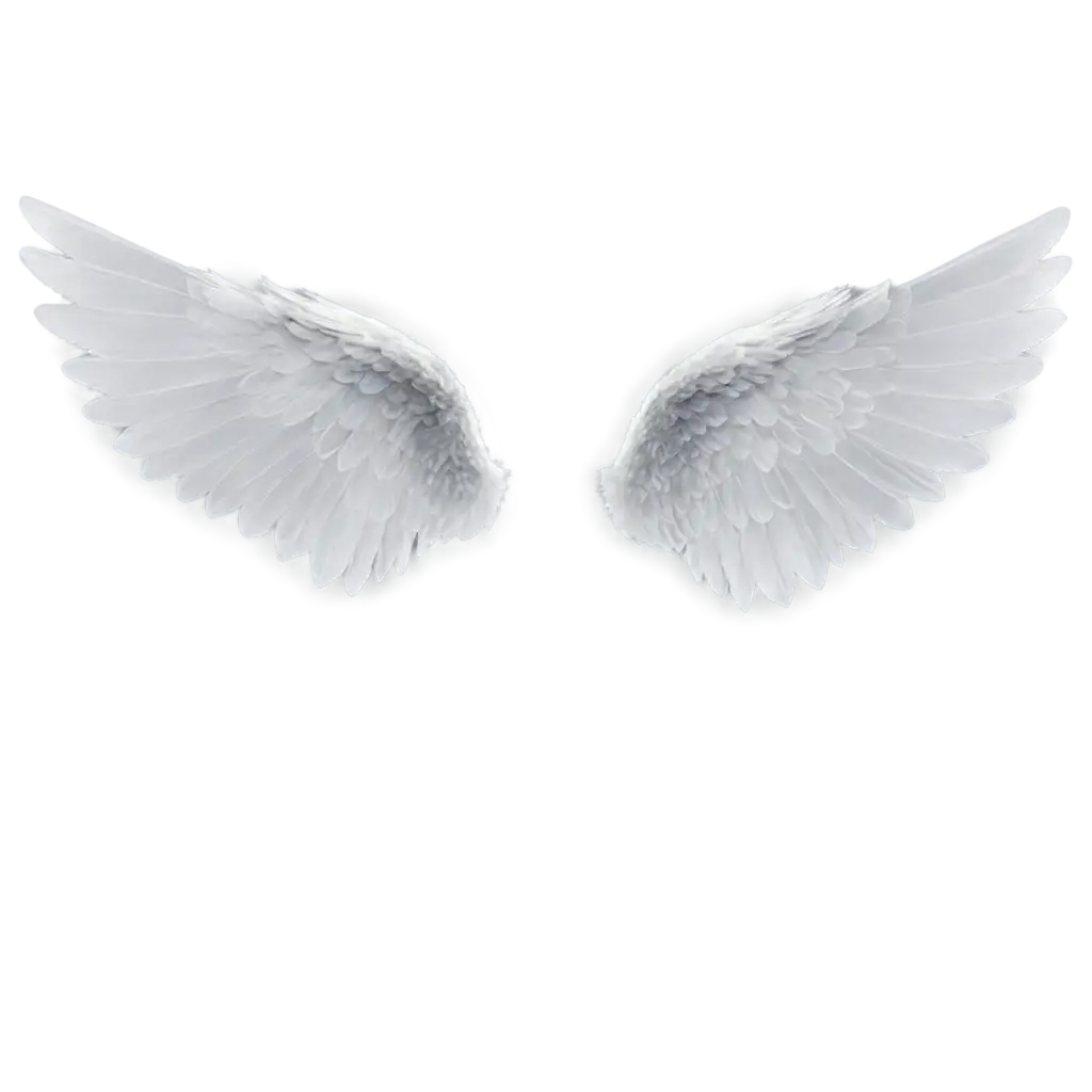 angel wings