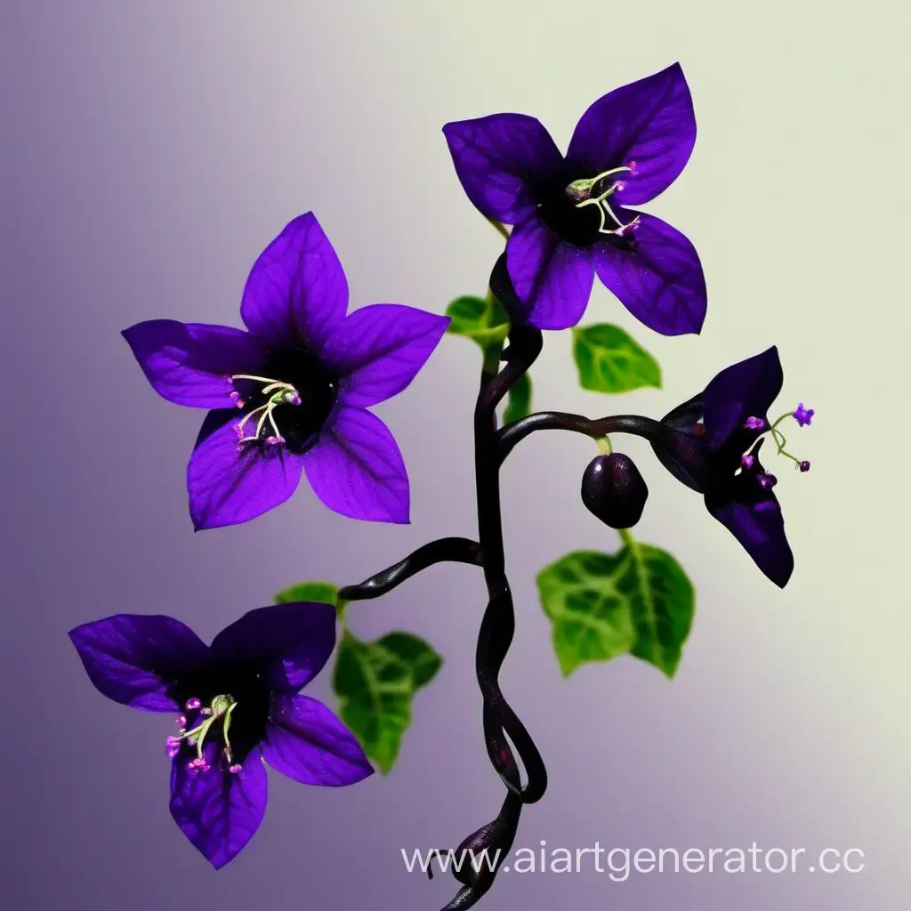 Elegant-Black-Vine-with-Delicate-Purple-Flowers-Blooming