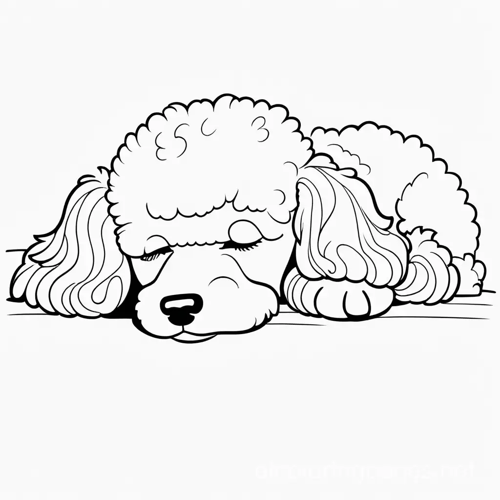 Sleeping-Poodle-Coloring-Page-Black-and-White-Line-Art-for-Simplicity-and-Easy-Coloring