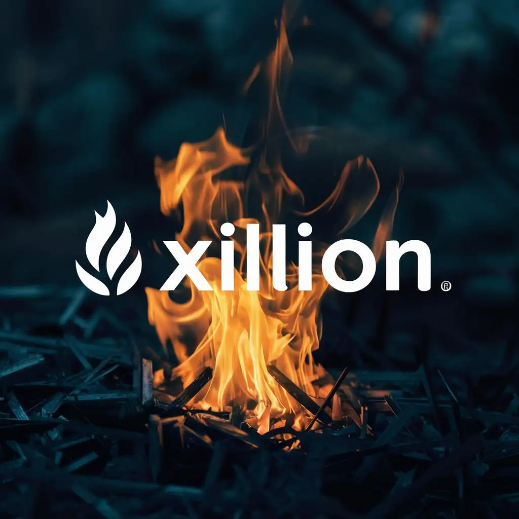 LOGO-Design-For-Xillion-Fiery-Typography-for-the-Finance-Industry