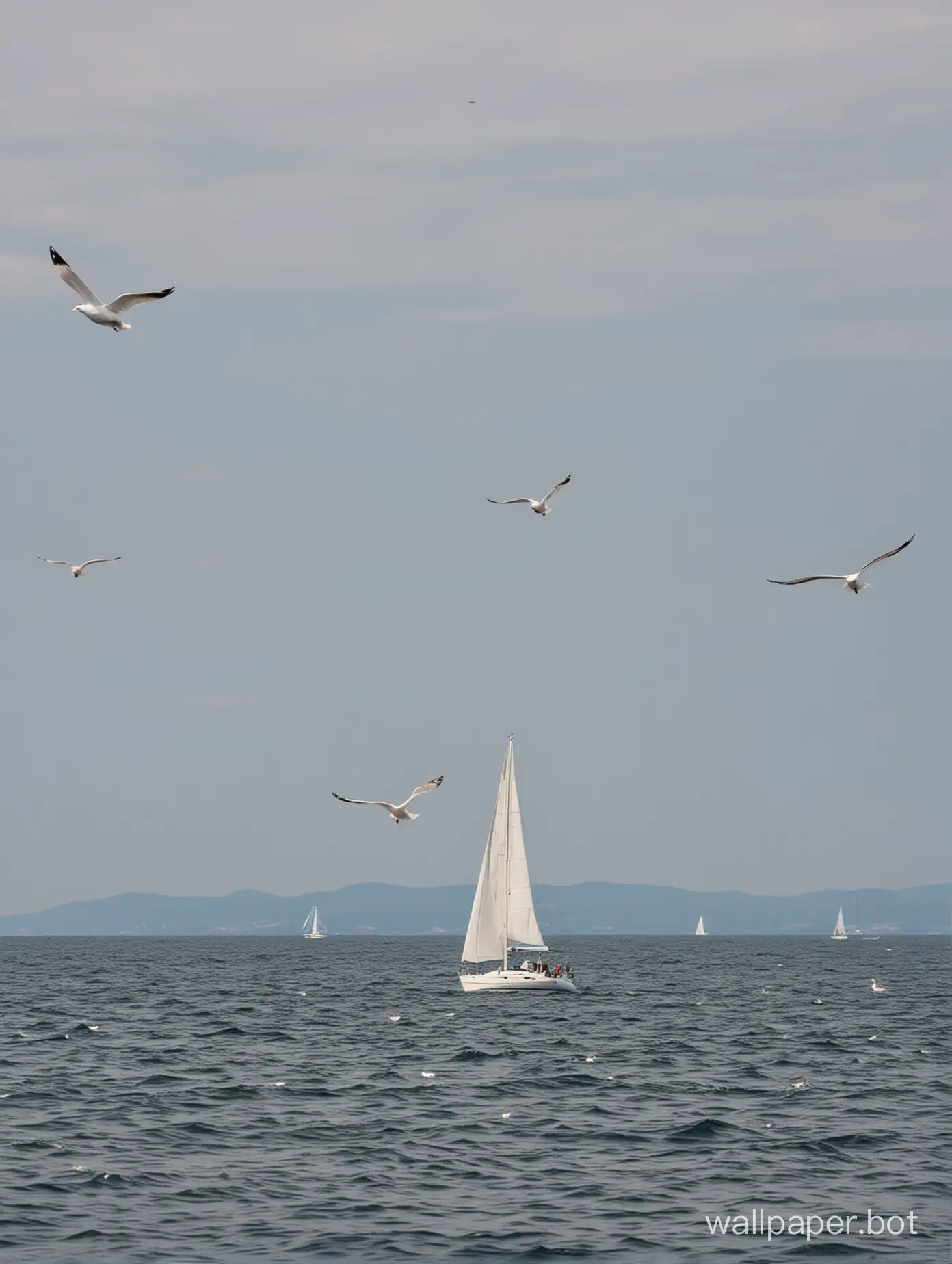 Black Sea, Crimea, white sailing yacht in the distance, three seagulls