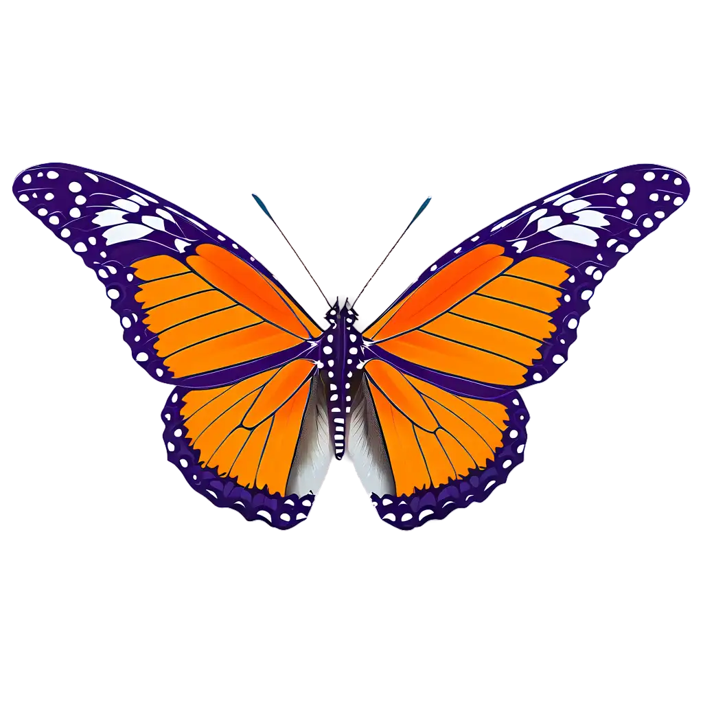 Exquisite-Butterfly-PNG-Captivating-Beauty-in-HighQuality-Format