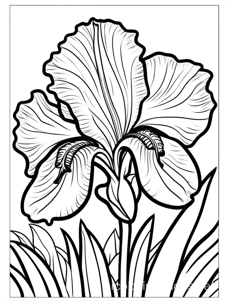 """
happy friendly playful isolated IRIS coloring book page for kids, Coloring Page, black and white, line art, white background, Simplicity, Ample White Space. The background of the coloring page is plain white to make it easy for young children to color within the lines. The outlines of all the subjects are easy to distinguish, making it simple for kids to color without too much difficulty, Coloring Page, black and white, line art, white background, Simplicity, Ample White Space. The background of the coloring page is plain white to make it easy for young children to color within the lines. The outlines of all the subjects are easy to distinguish, making it simple for kids to color without too much difficulty
"""