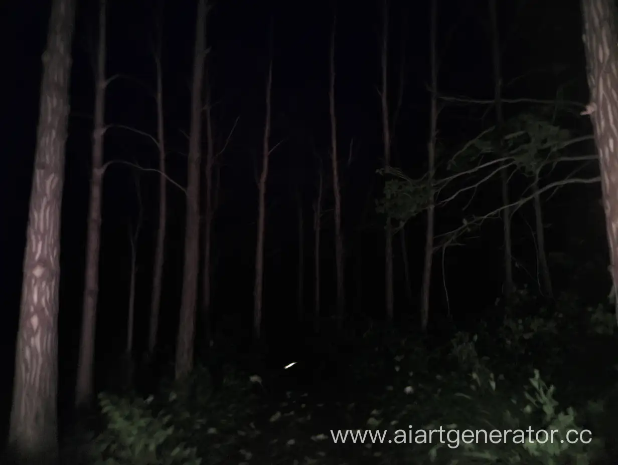 Mysterious-Nighttime-Forest-Encounter