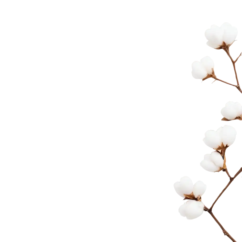 Exquisite-Cotton-Branch-PNG-Image-Capturing-Natures-Elegance-in-High-Quality