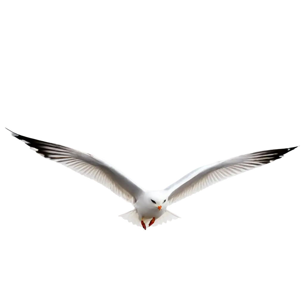 Stunning-Seagull-Silhouette-PNG-Enhancing-Visual-Appeal-and-Online-Presence
