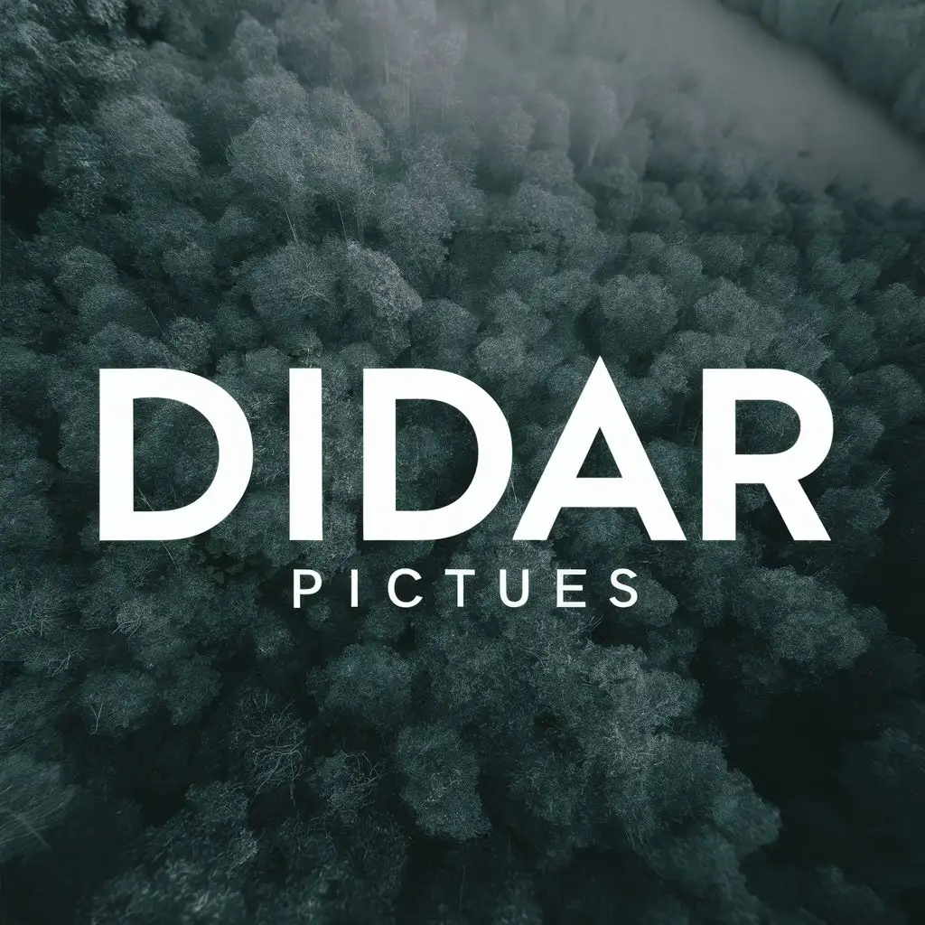 logo, didar pictures, with the text "DIDAR", typography