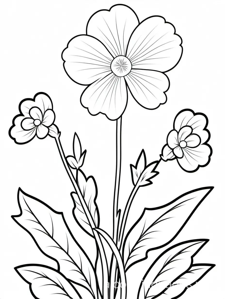 primrose, Coloring Page, black and white, line art, white background, Simplicity, Ample White Space. The background of the coloring page is plain white to make it easy for young children to color within the lines. The outlines of all the subjects are easy to distinguish, making it simple for kids to color without too much difficulty