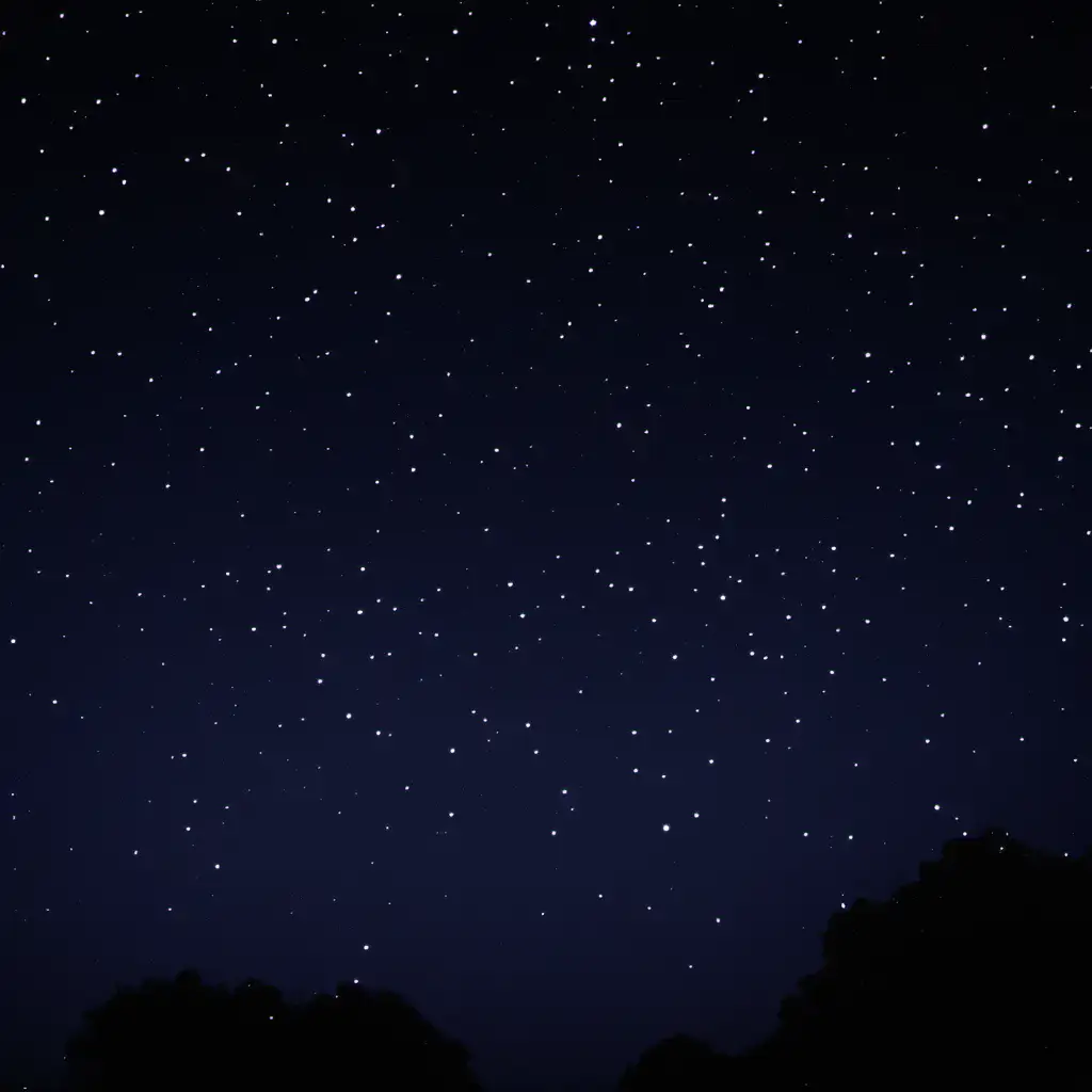Starry Night Sky Full of Bright Stars