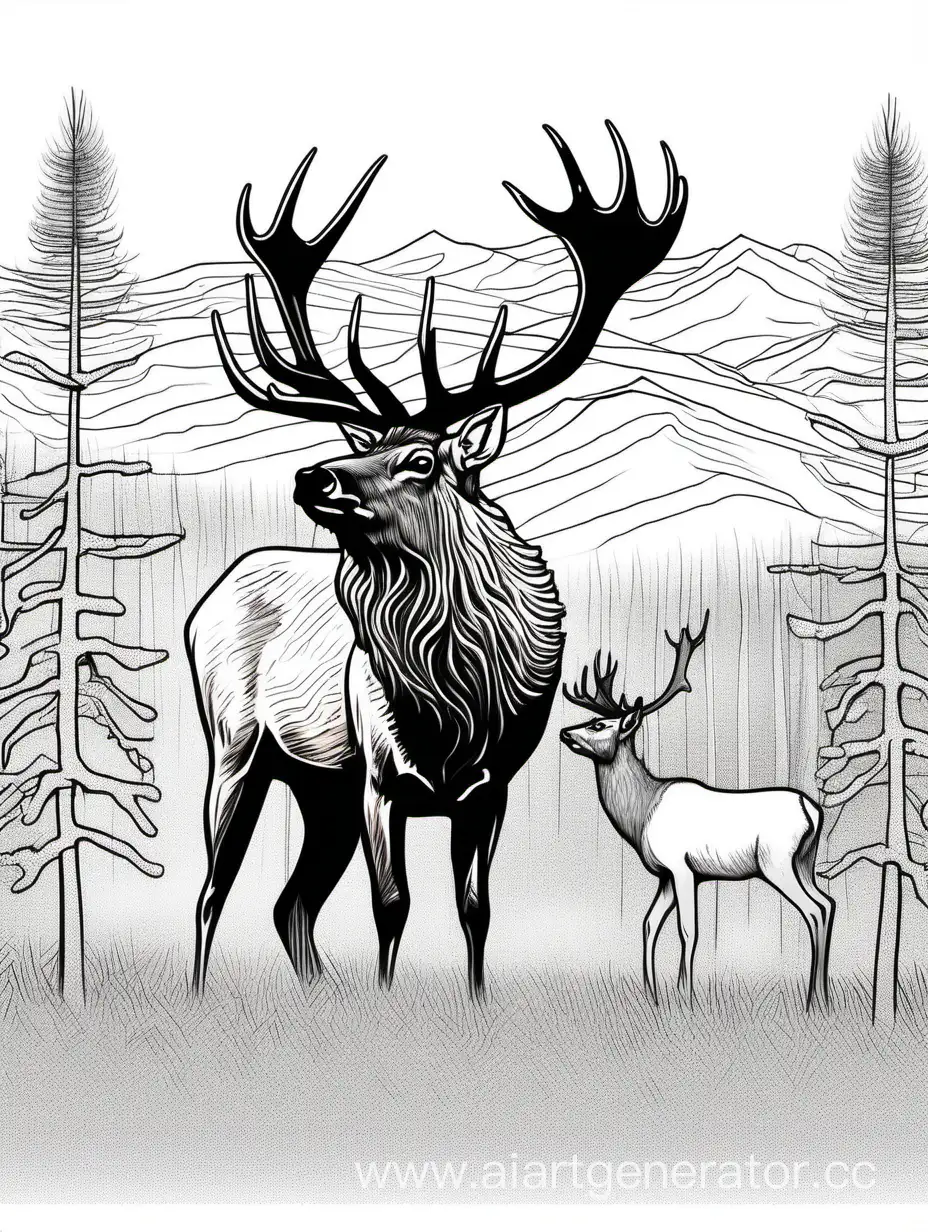 SingleLine-Art-Majestic-Elk-in-Pine-Forest-Graphics