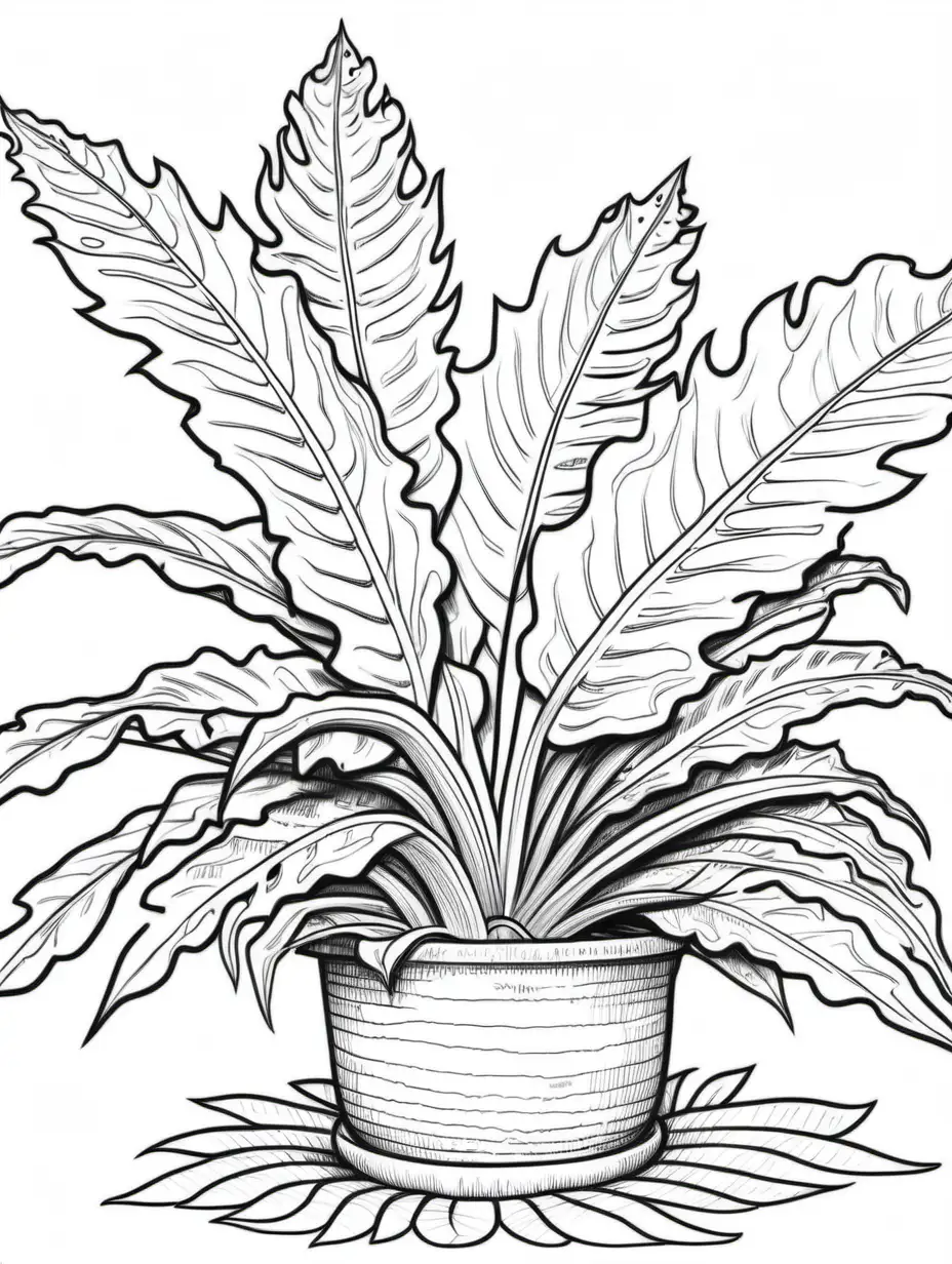Exquisite Birds Nest Fern Coloring Page for Relaxation and Creativity