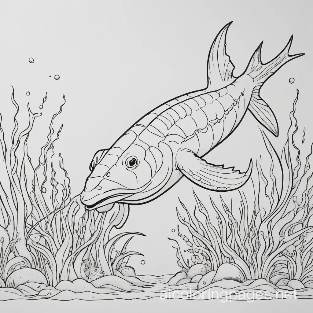 make 24 sea creature, Coloring Page, black and white, line art, white background, Simplicity, Ample White Space. The background of the coloring page is plain white to make it easy for young children to color within the lines. The outlines of all the subjects are easy to distinguish, making it simple for kids to color without too much difficulty