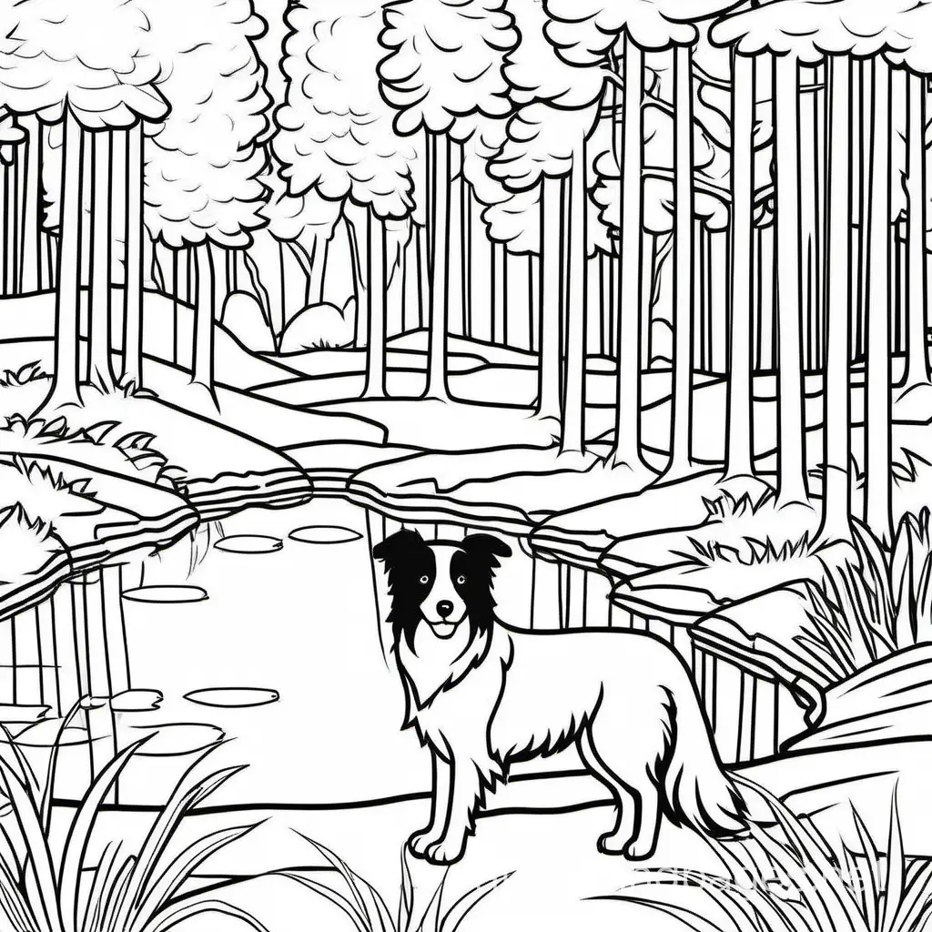 border collie looking at a pond by the woods, Coloring Page, black and white, line art, white background, Simplicity, Ample White Space. The background of the coloring page is plain white to make it easy for young children to color within the lines. The outlines of all the subjects are easy to distinguish, making it simple for kids to color without too much difficulty