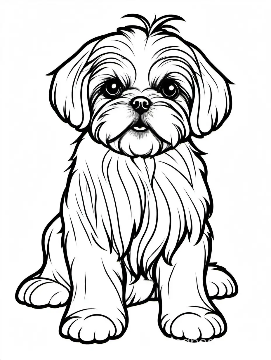 a sitting happy baby shih tzu, isolated on a solid white background, Coloring Page, black and white, line art, white background, Simplicity, Ample White Space. The background of the coloring page is plain white to make it easy for young children to color within the lines. The outlines of all the subjects are easy to distinguish, making it simple for kids to color without too much difficulty., Coloring Page, black and white, line art, white background, Simplicity, Ample White Space. The background of the coloring page is plain white to make it easy for young children to color within the lines. The outlines of all the subjects are easy to distinguish, making it simple for kids to color without too much difficulty