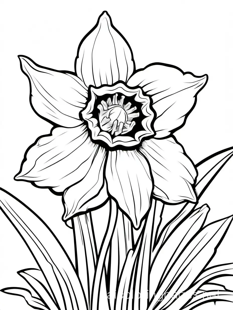 happy friendly playful isolated DAFFODIL coloring book page for kids, Coloring Page, black and white, line art, white background, Simplicity, Ample White Space. The background of the coloring page is plain white to make it easy for young children to color within the lines. The outlines of all the subjects are easy to distinguish, making it simple for kids to color without too much difficulty, Coloring Page, black and white, line art, white background, Simplicity, Ample White Space. The background of the coloring page is plain white to make it easy for young children to color within the lines. The outlines of all the subjects are easy to distinguish, making it simple for kids to color without too much difficulty