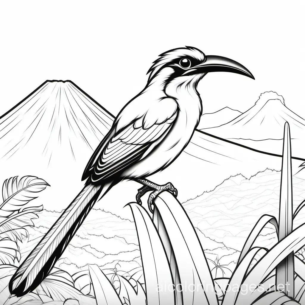 realistic Torogoz bird with 2 long tail feathers, motmot national bird of Nicaragua, with volcano and jungle in the background, Coloring Page, black and white, line art, white background, Simplicity, Ample White Space. The background of the coloring page is plain white to make it easy for young children to color within the lines. The outlines of all the subjects are easy to distinguish, making it simple for kids to color without too much difficulty