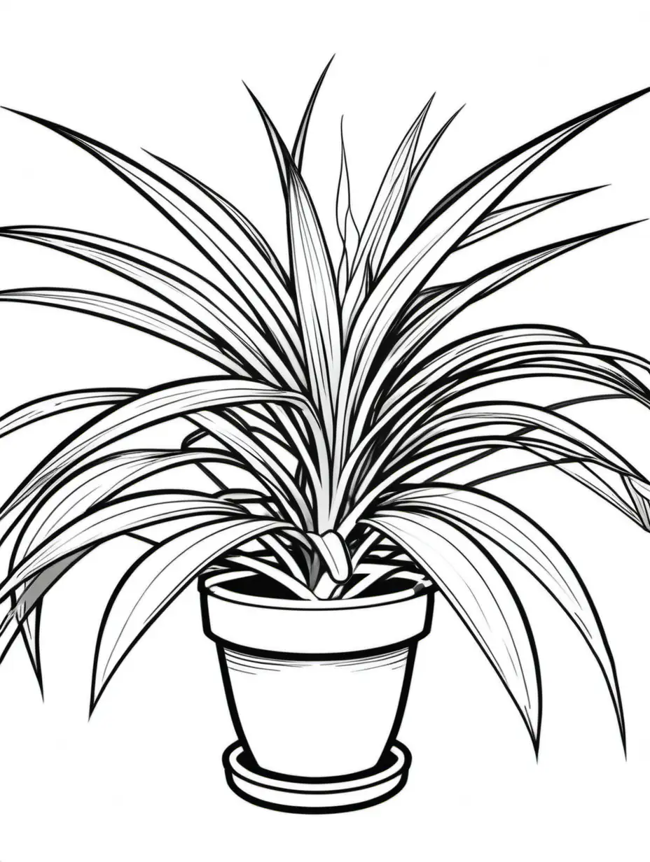 Spider Plant Coloring Page with Delicate Light Lines