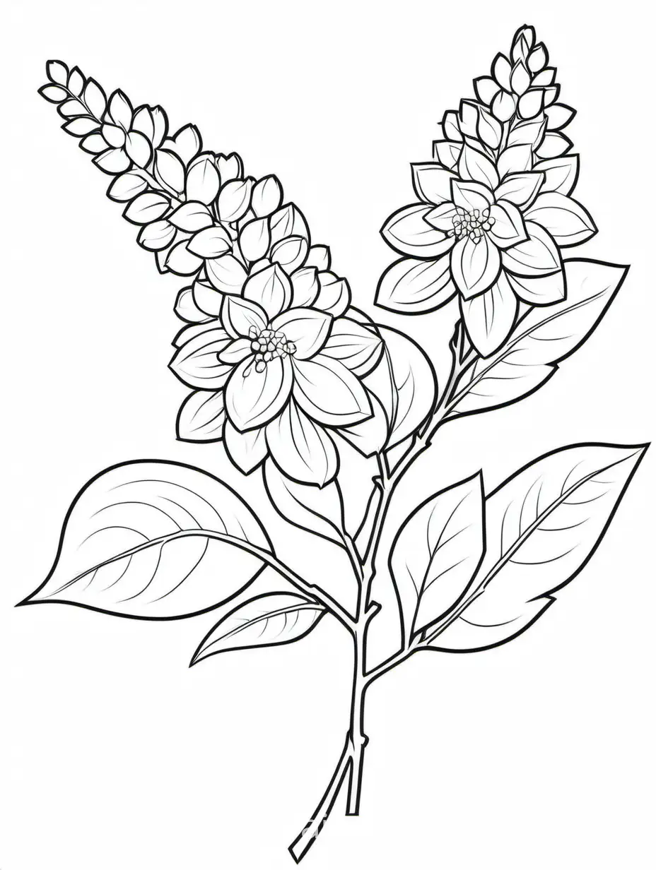 Syringa-Coloring-Page-for-Kids-Simple-Black-and-White-Line-Art-on-White-Background