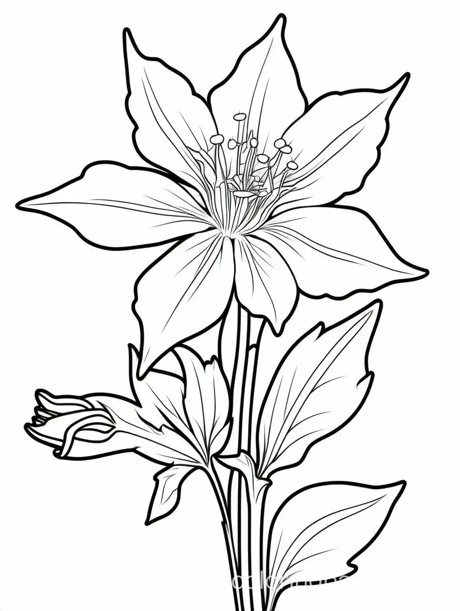 columbine flower, Coloring Page, black and white, line art, white background, Simplicity, Ample White Space. The background of the coloring page is plain white to make it easy for young children to color within the lines. The outlines of all the subjects are easy to distinguish, making it simple for kids to color without too much difficulty