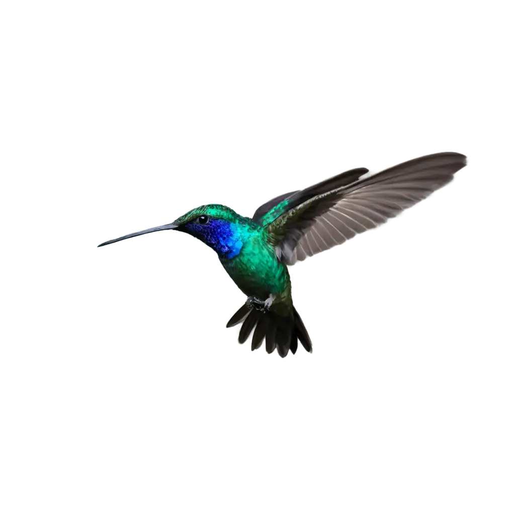 Stunning-Colibri-PNG-Image-Capturing-the-Essence-of-Natures-Beauty