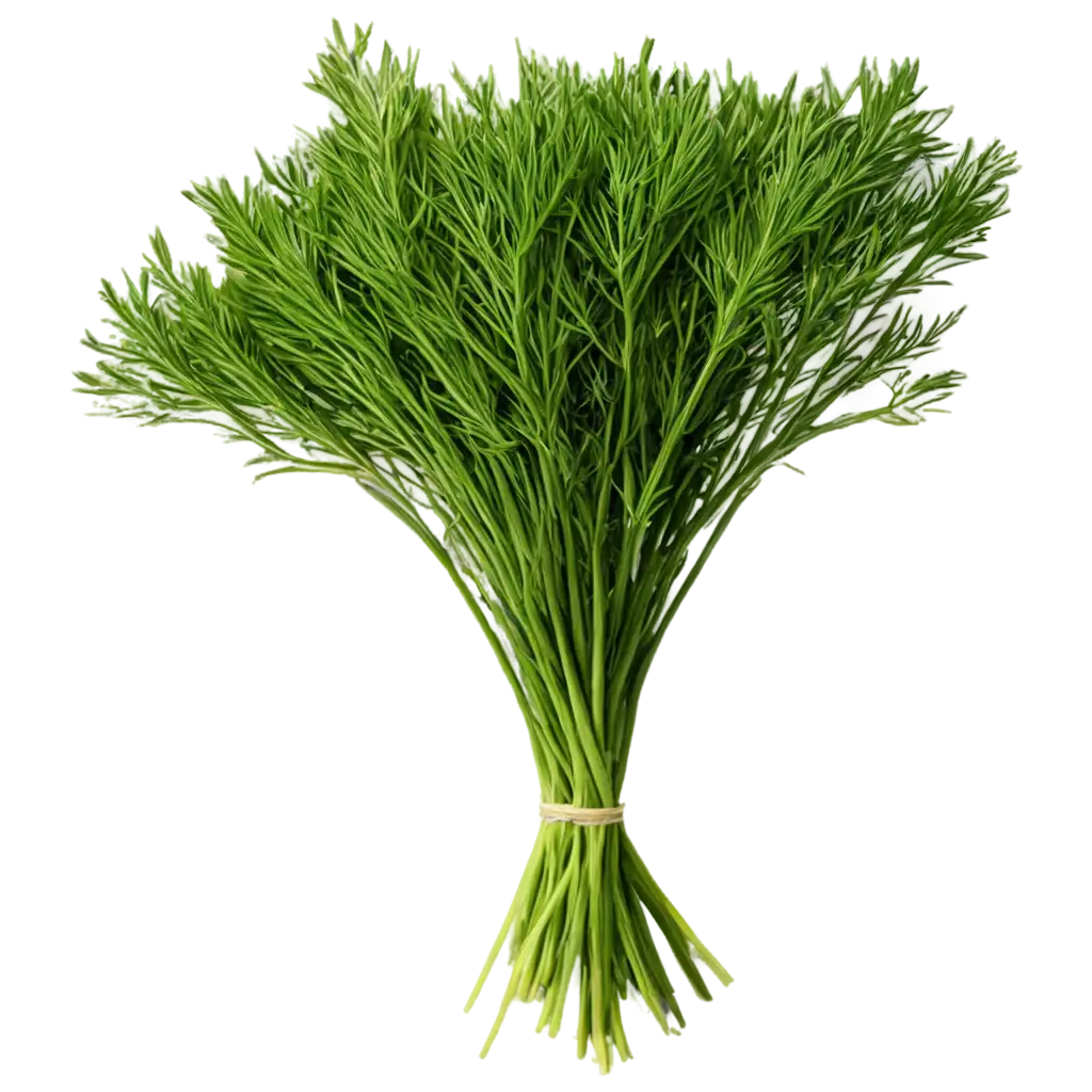 Exquisite-PNG-Rendering-Captivating-Packet-of-Dill-in-High-Definition