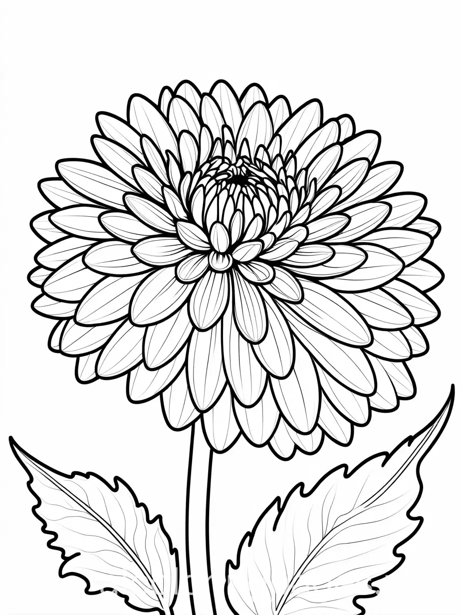 COLORING  DAHLIA FLOWER  , Coloring Page, black and white, line art, white background, Simplicity, Ample White Space. The background of the coloring page is plain white to make it easy for young children to color within the lines. The outlines of all the subjects are easy to distinguish, making it simple for kids to color without too much difficulty