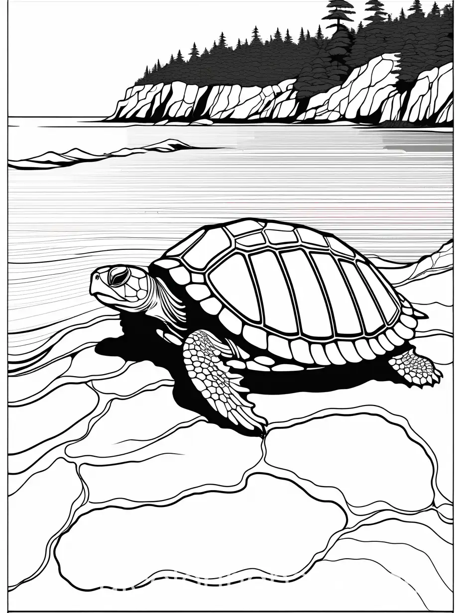 acadia national park and a turtle, Coloring Page, black and white, line art, white background, Simplicity, Ample White Space