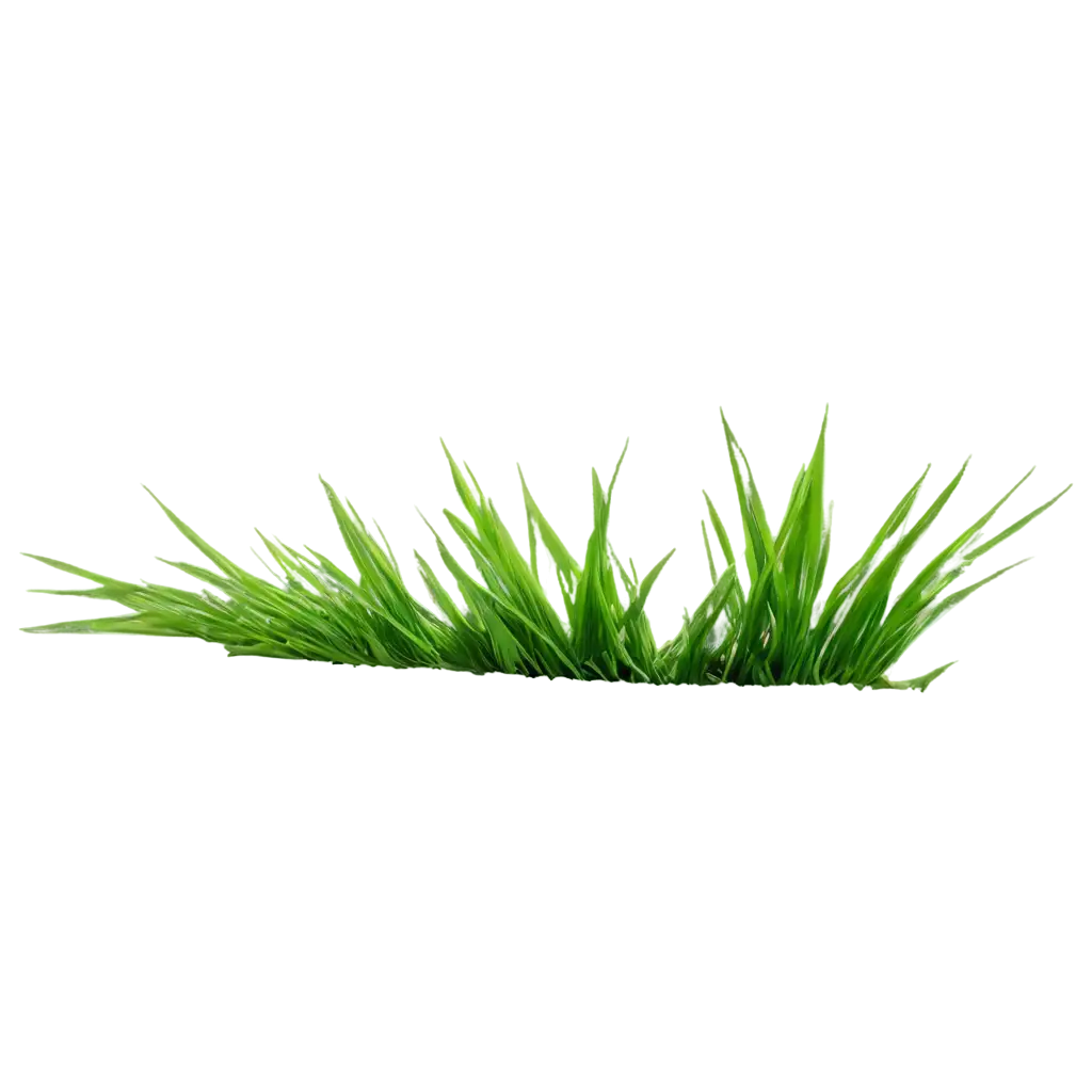 single blade of grass