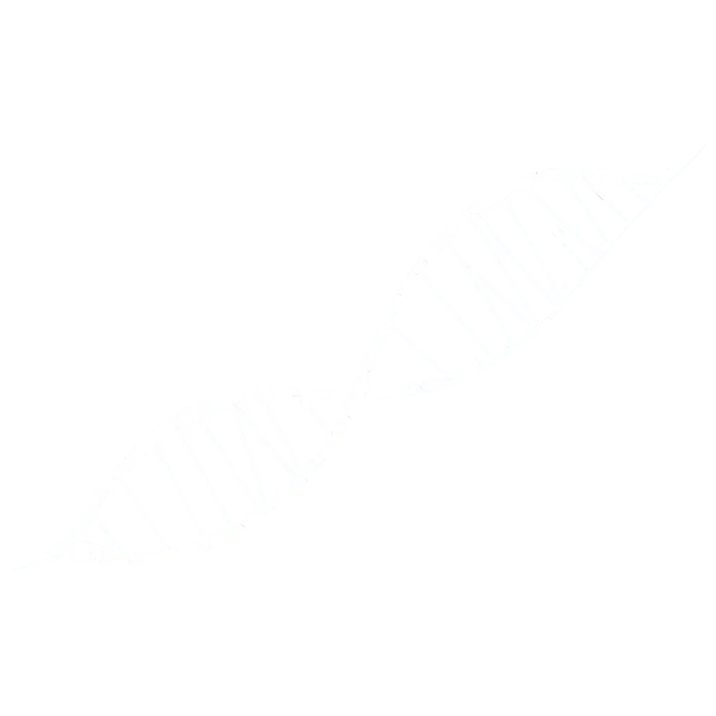 DNA vector 