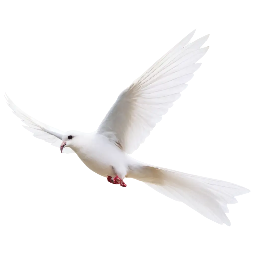 Captivating-Funeral-Dove-PNG-Symbolic-Art-for-Online-Tributes-and-Memorial-Websites