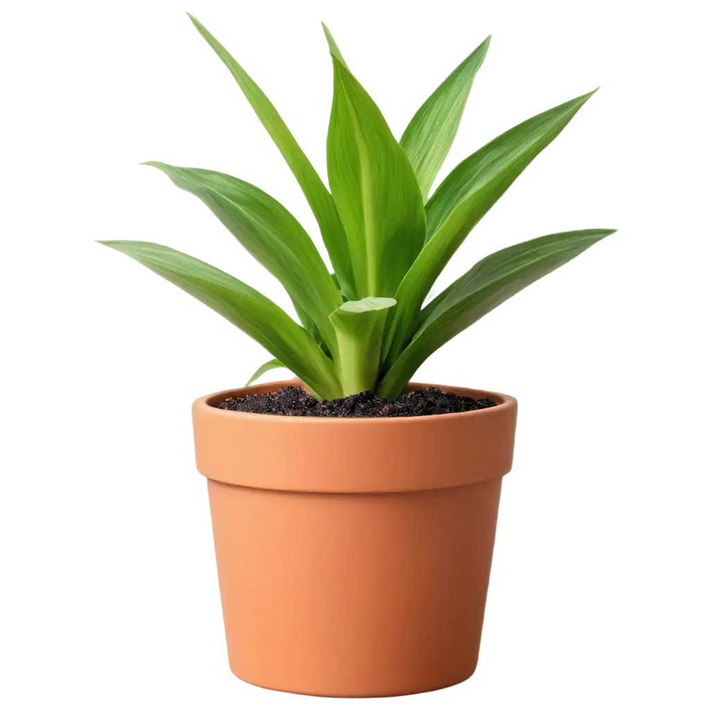 Ultra-Realistic-PNG-Image-Stunning-Zamiaculcas-in-Flower-Pot-Captured-with-Studio-Photography