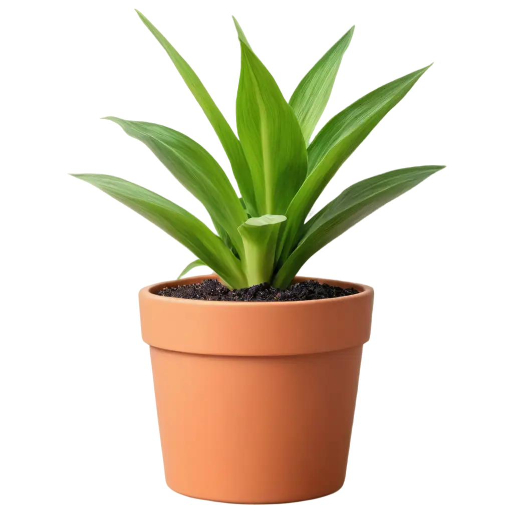 photo, zamiaculcas in a flower pot, Ultra realistic, Photorealism, studio photography.