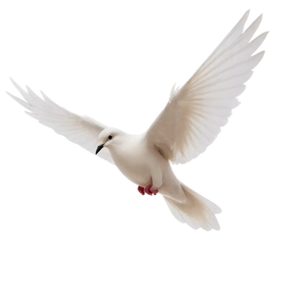 Dove-PNG-Image-Serene-Symbolism-and-HighQuality-Clarity