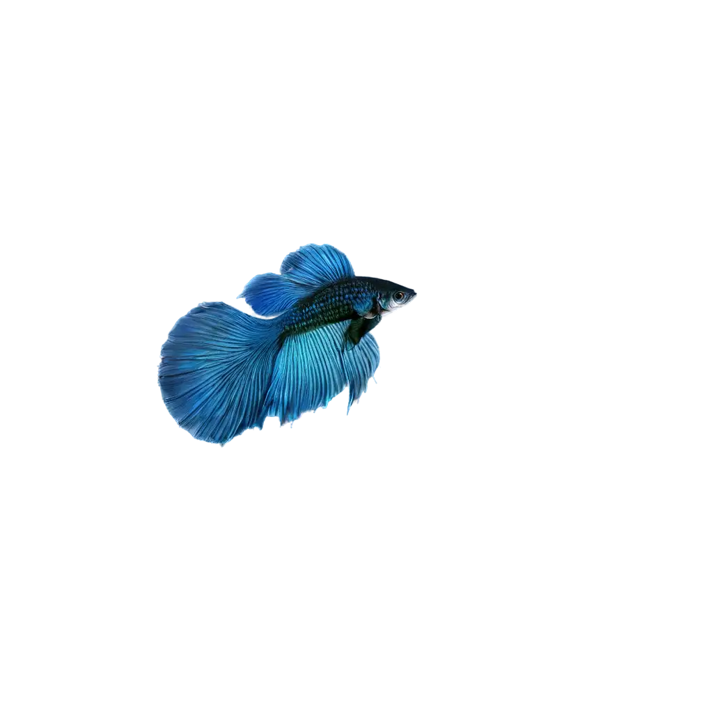 Vibrant-Blue-Betta-Fish-PNG-Stunning-HighQuality-Image-for-Aquarium-Enthusiasts