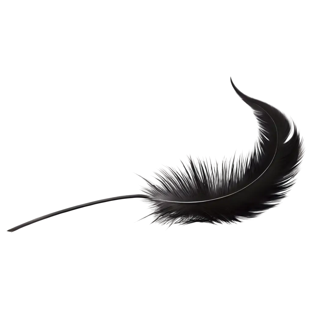 black feather