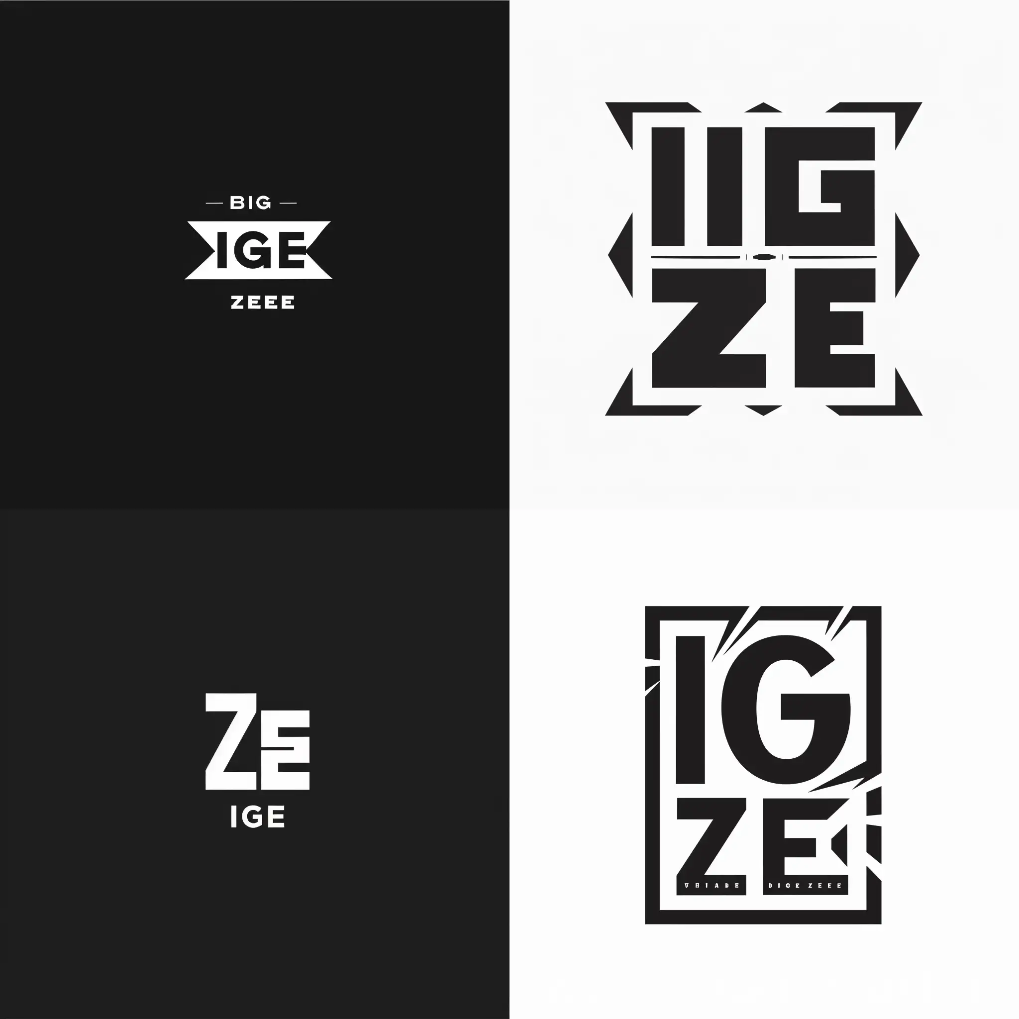 BIG ZEE, logo, black and white, simple, professional 