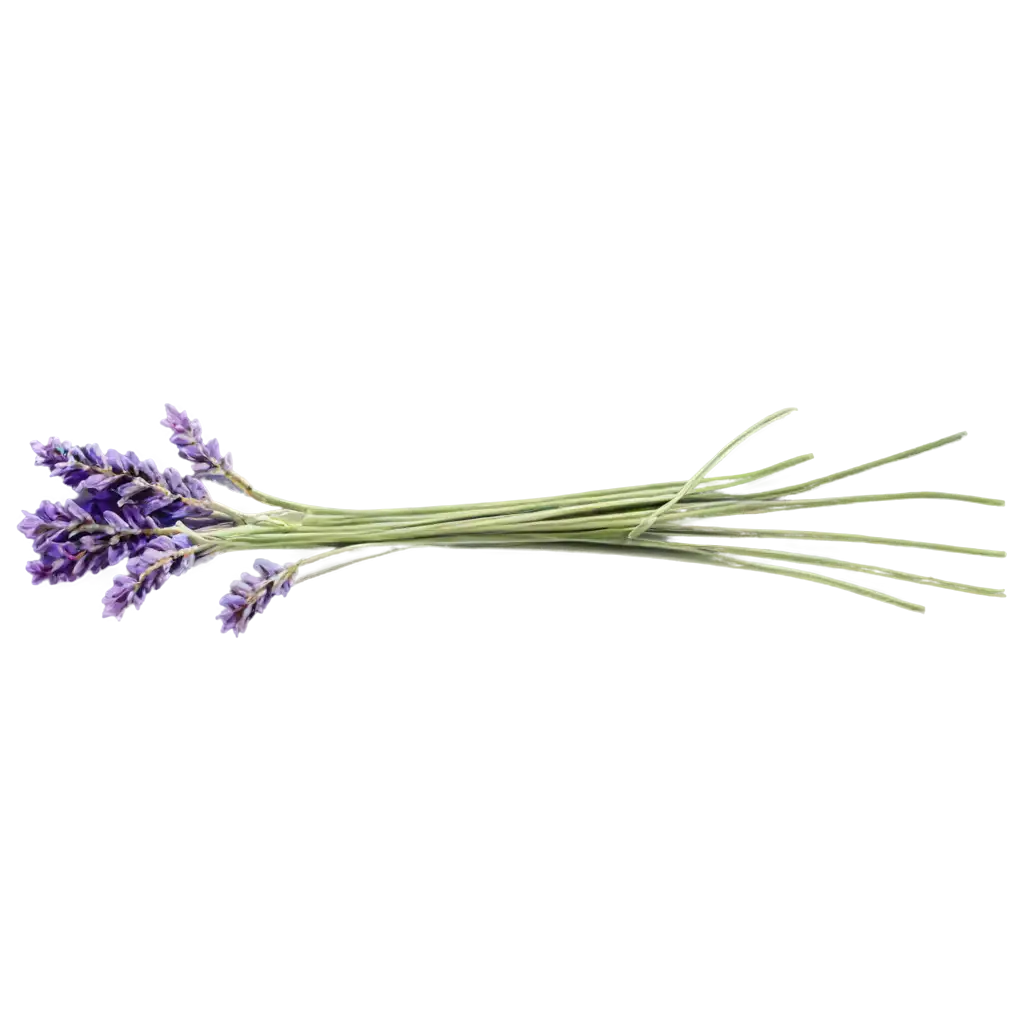 Stunning-Lavender-PNG-Image-Enhance-Your-Designs-with-HighQuality-Transparency